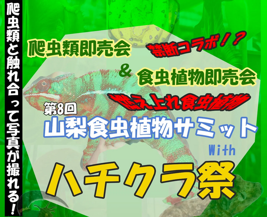 第8回山梨食虫植物サミットwithハチクラ祭2026が開催、爬虫類即売会と食虫植物即売会が共演