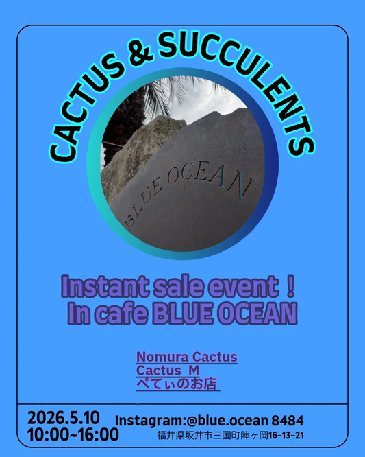 CACTUS&SUCCULENTSInstantsaleevent2026がcafeBLUEOCEANで開催、サボテン寄りの即売会を実施