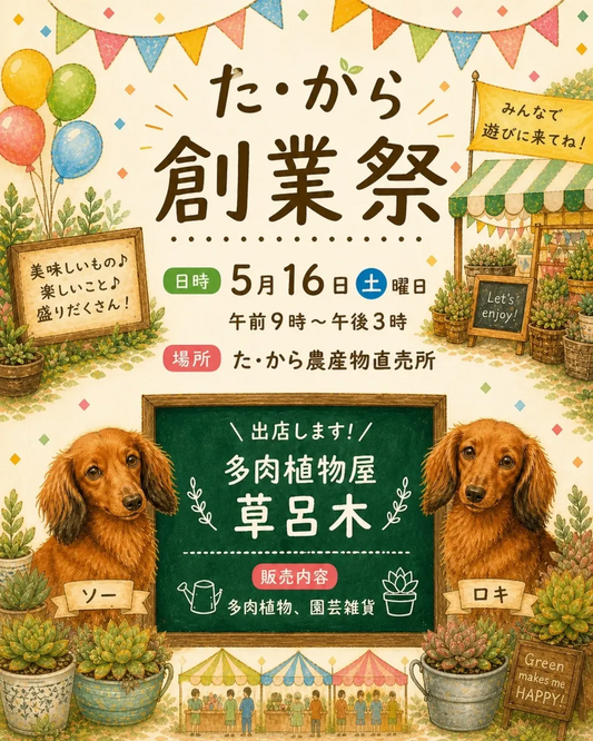 た・から創業祭2026が山梨県中央市で開催、多肉植物屋草呂木の出店で多肉植物販売も実施