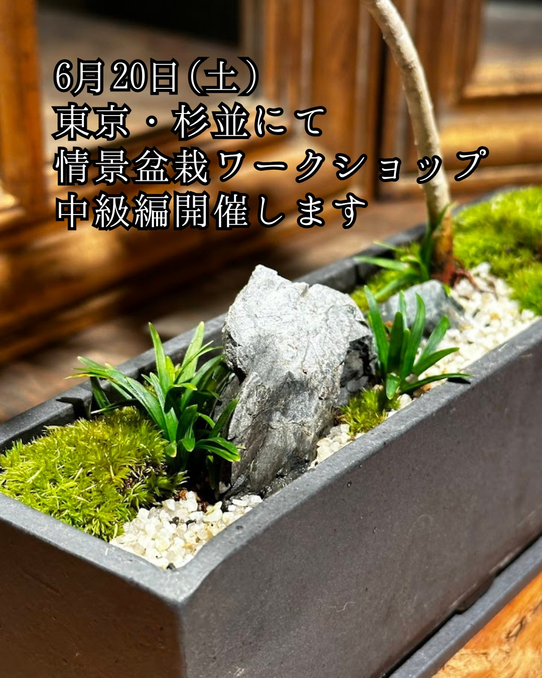情景盆栽中級編ワークショップ2026が東京都杉並区で開催、本格情景盆栽を少人数制で制作