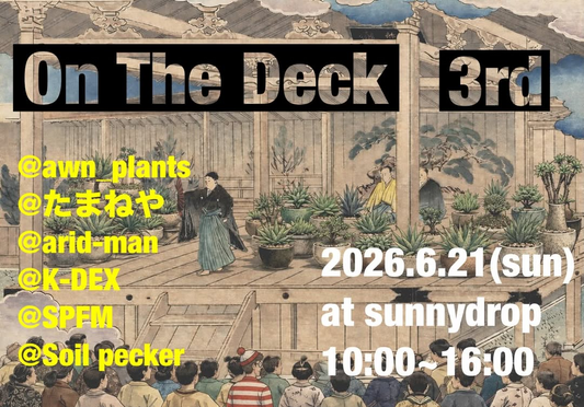 On The Deck 3rdが兵庫県加東市のsunny dropで開催、アガベや塊根など多様な植物販売を実施