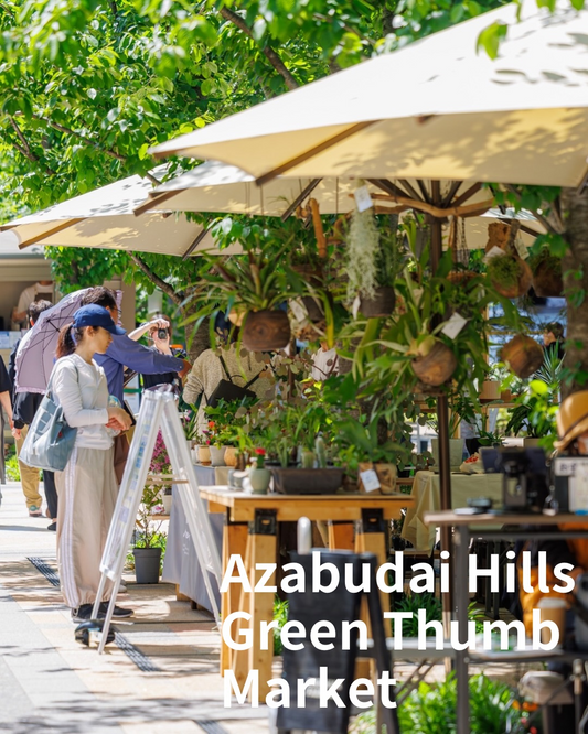 Azabudai Hills Green Thumb Market2026が麻布台ヒルズで開催、8店舗のインドア＆アウトドアグリーンが集結