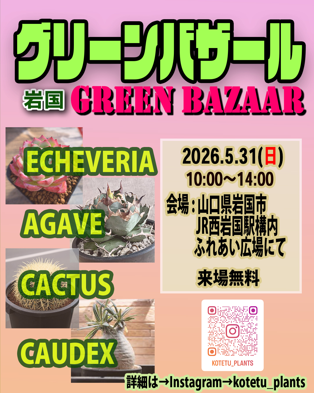 第5回岩国グリーンバザール2026がJR西岩国駅で開催、エケベリアやアガベなどの植物販売を実施