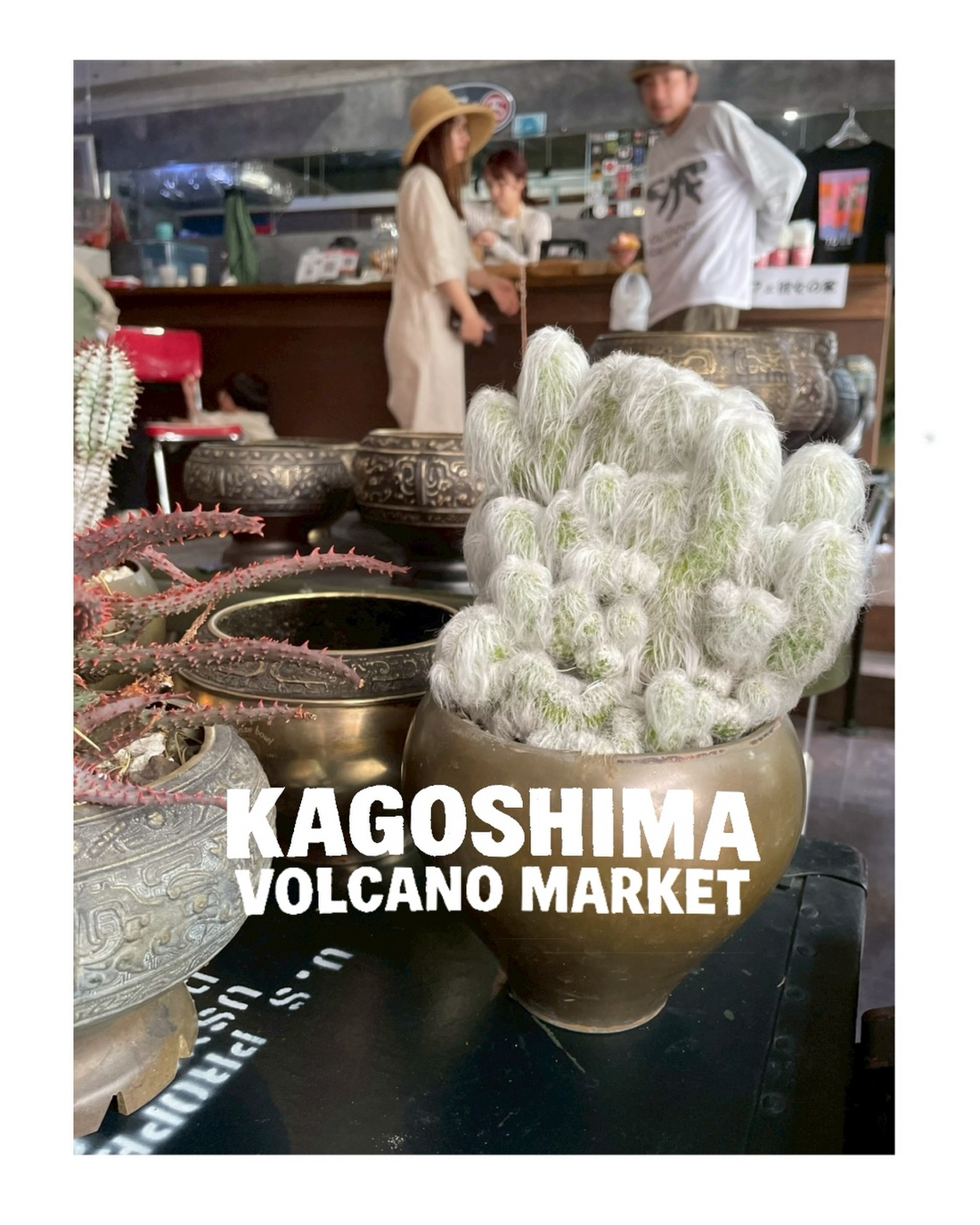 KAGOSHIMA VOLCANO MARKET2026がused shop OCTAで開催、植物と鉢とコーヒーと古着が集結