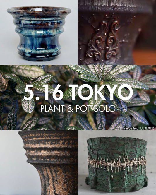 PLANT & POT SOLO2026が中目黒で開催、and Plantsの実生株と作家鉢を展示販売