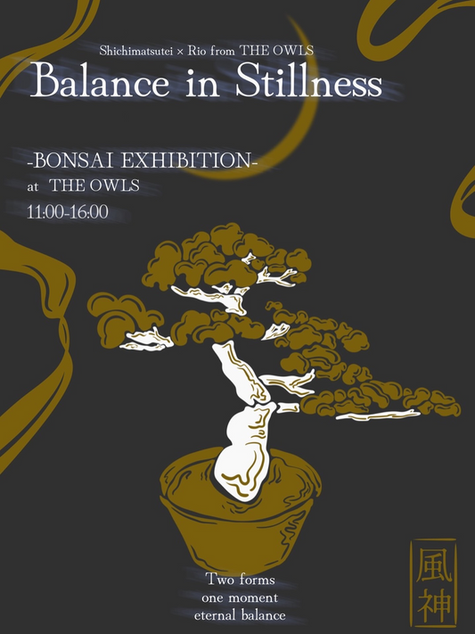 shichimatsutei × Rio from THE OWLS2026が仙台で開催、THE OWLSの空間で盆栽を1日限定展示