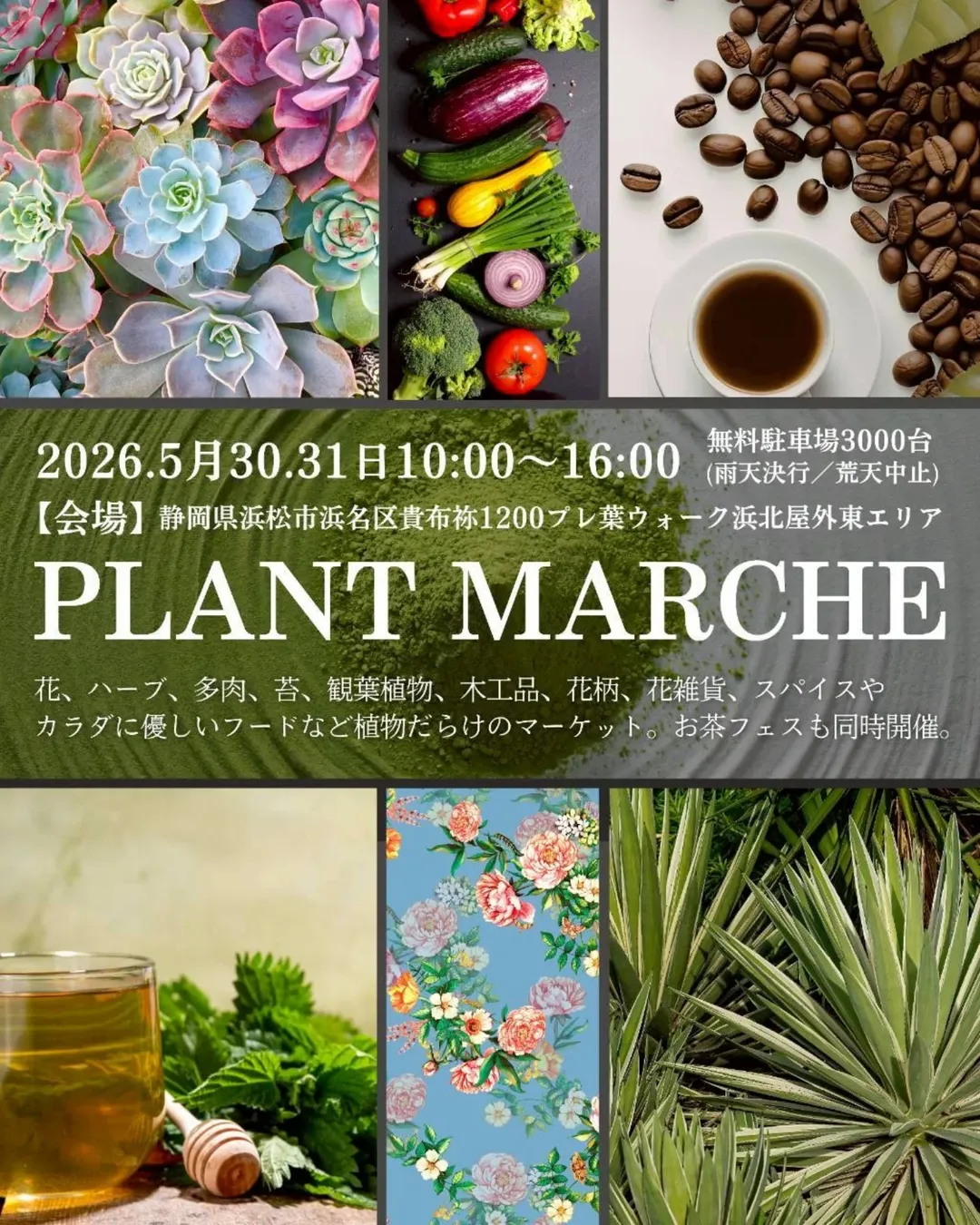 PLANT MARCHE2026がプレ葉ウォーク浜北で開催、植物マーケットと多肉植物寄せ植え体験を実施