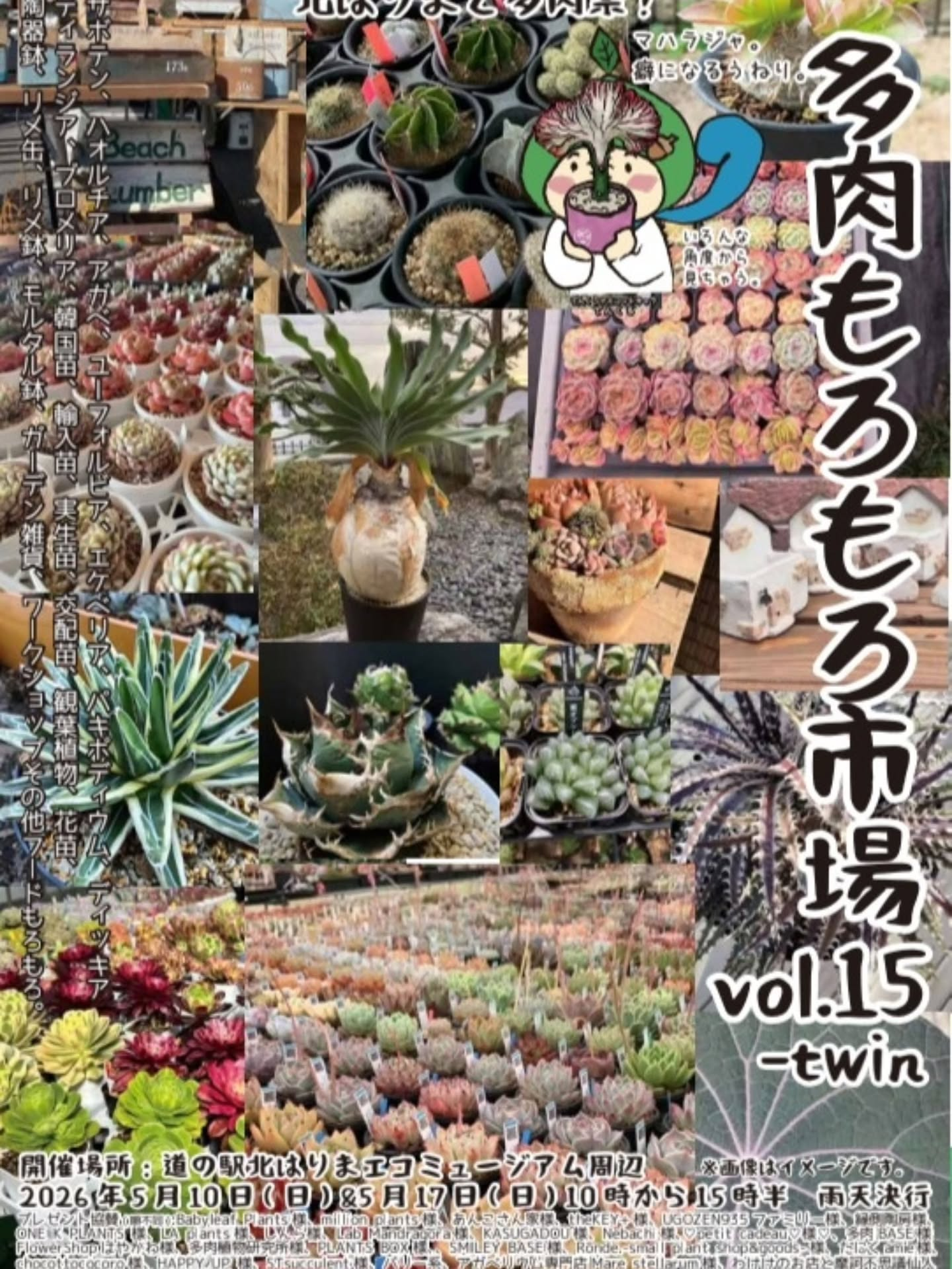 多肉もろもろ市場vol.15 twin2026が道の駅北はりまで開催、多肉植物やアガベなどが集結 - リーフラ編集部