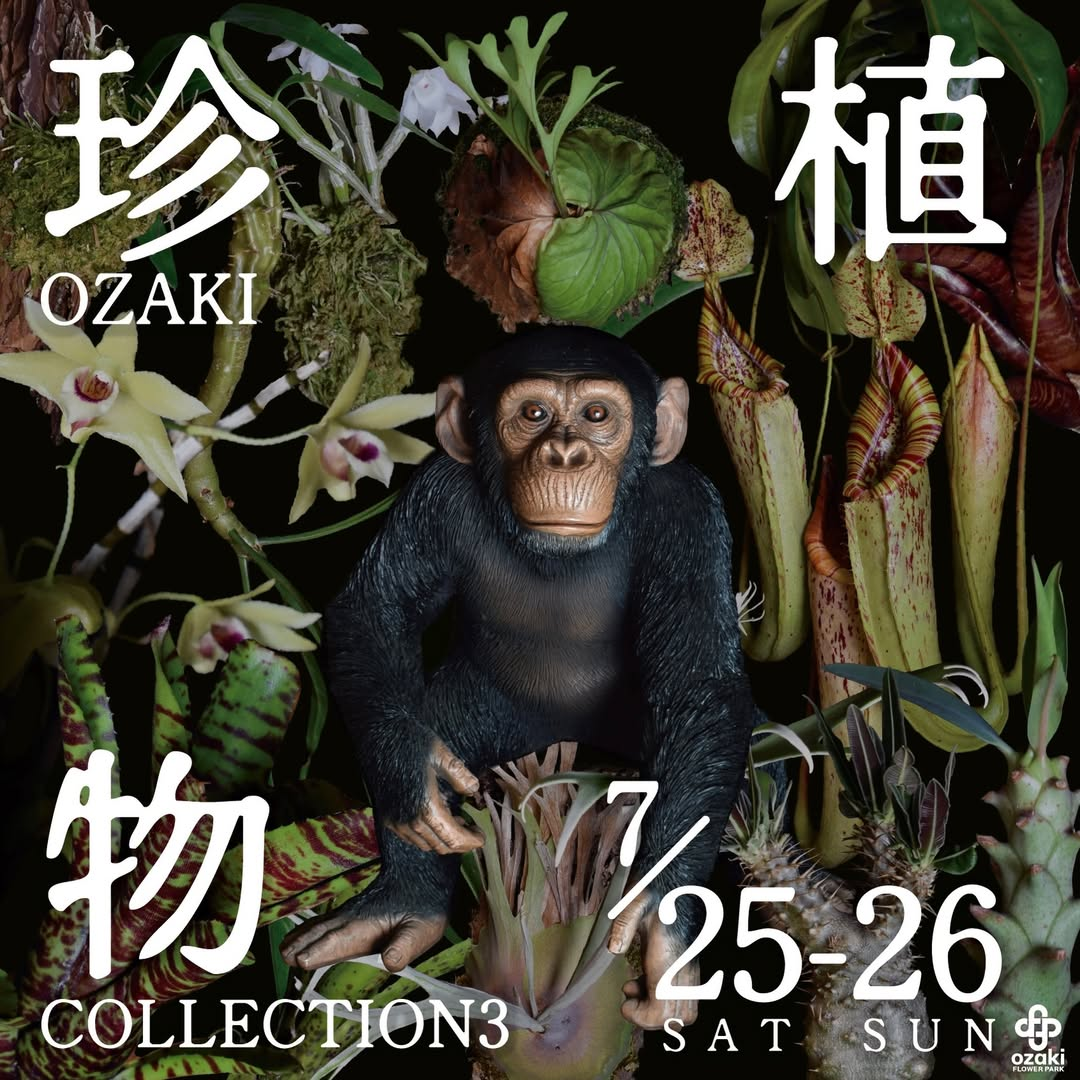 オザキ珍植物コレクション3 2026がオザキフラワーパークで開催、食虫植物や塊根植物などが集結 - リーフラ編集部