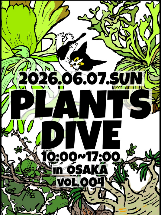 PLANTS DIVE vol.4 2026がMitsumame Tintoysで開催、workshopやgoods販売などを実施