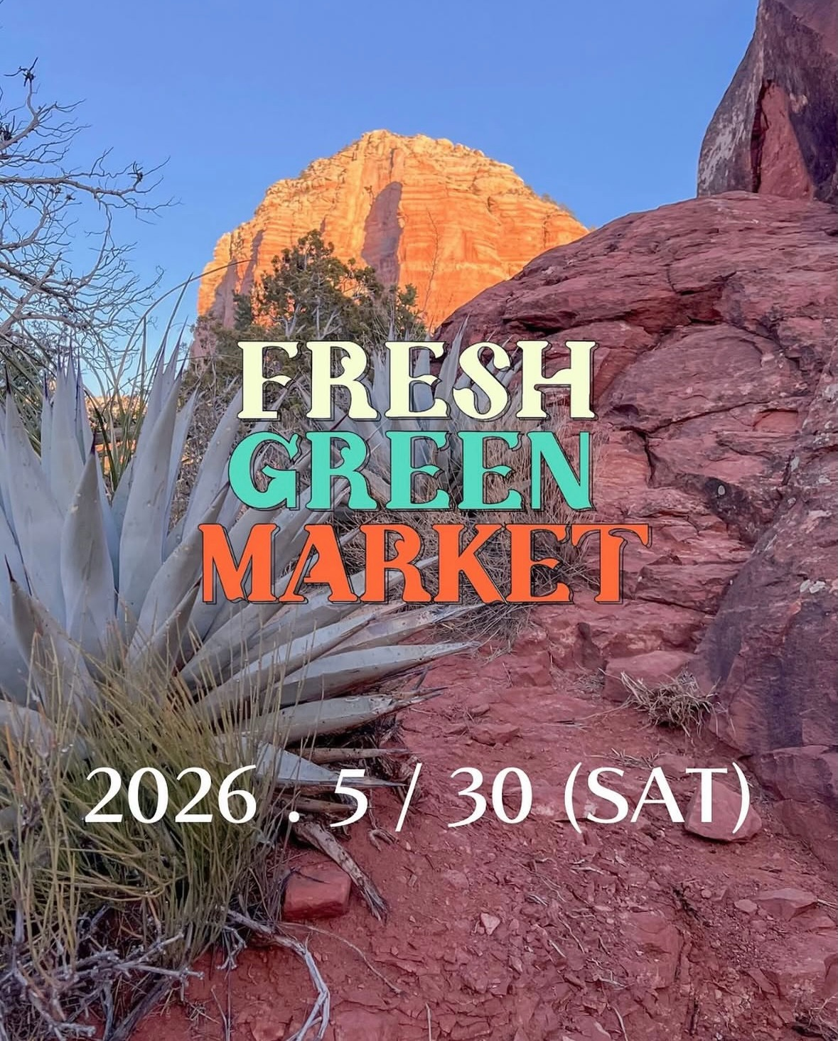 FRESH GREEN MARKET2026がケーズハーバーで開催、アガベやサボテンなどグリーンが集結 - リーフラ編集部