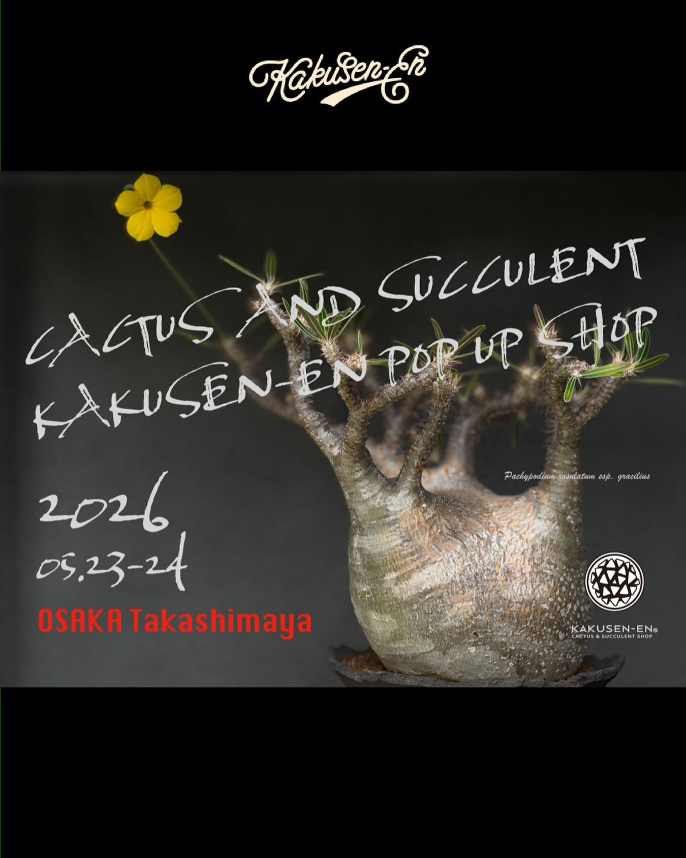 CACTUS AND SUCCULENT KAKUSEN EN POP UP SHOP2026が大阪高島屋で開催、鶴仙園のサボテンや多肉植物を販売 - リーフラ編集部