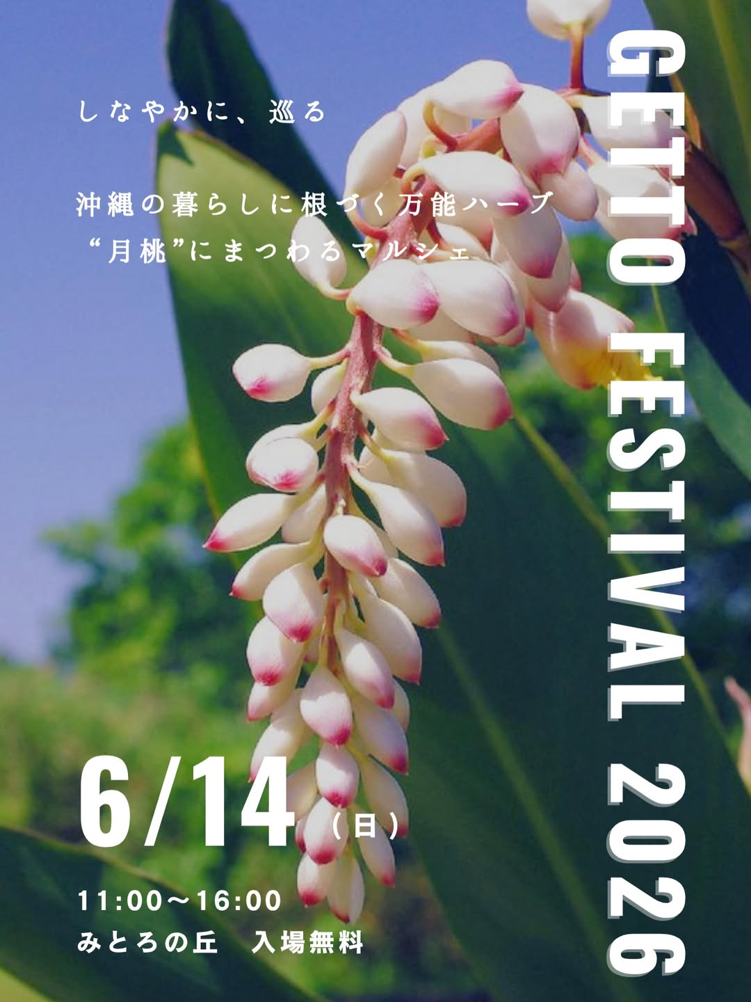 月桃フェス2026がみとろの丘で開催、沖縄の万能ハーブ月桃を食や香りや癒しで体感 - リーフラ編集部