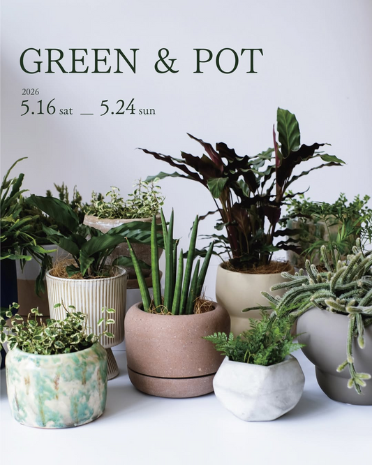 クラシメクがGREEN&POT2026を開催、観葉植物と鉢の販売に東孝植物園の相談対応も実施