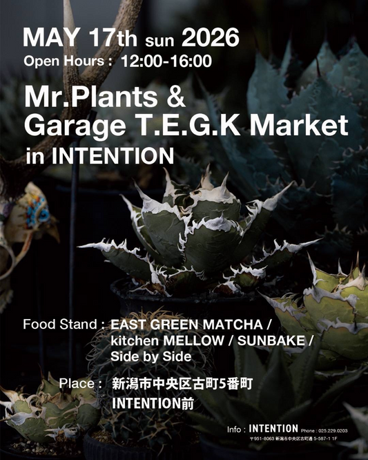 MrPlantsGarageTEGKMarket2026がINTENTION前で開催、アガベ販売と飲食ブースが新潟に集結
