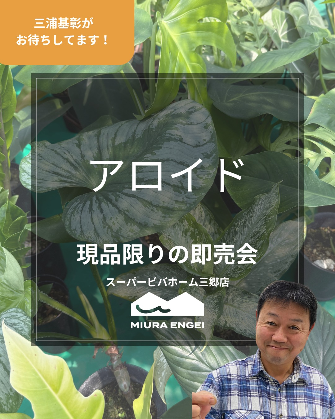 スーパービバホーム三郷店がアロイド観葉植物即売会2026を開催、基彰社長が育てた植物を販売 - リーフラ編集部