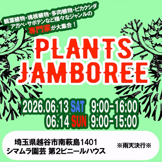 PLANTSJAMBOREE2026がシマムラ園芸で開催、観葉植物と塊根植物の専門家が集結