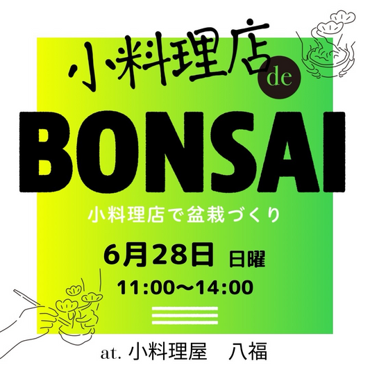 小料理店で盆栽づくり2026が小料理屋八福で開催、みかん盆栽と真柏盆栽の制作体験を実施