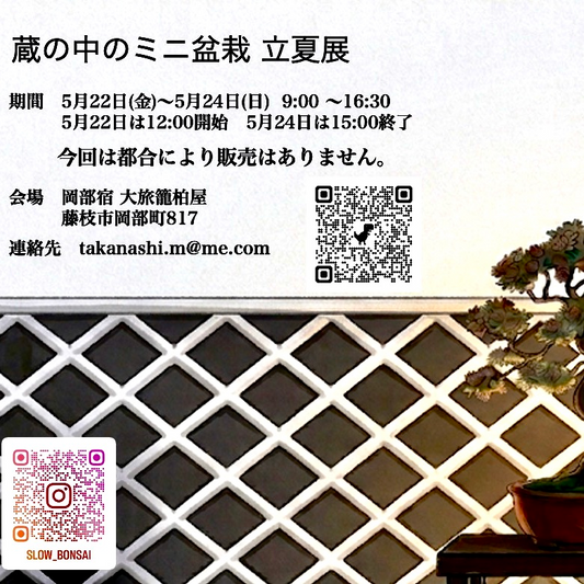 蔵の中のミニ盆栽立夏展2026が岡部宿大旅籠柏屋で開催、築140年の蔵で盆栽展示を実施