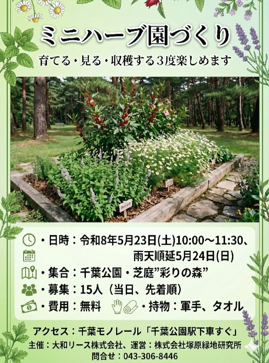 ミニハーブ園づくり2026が千葉公園芝庭で開催、無料でハーブ植付け体験を実施