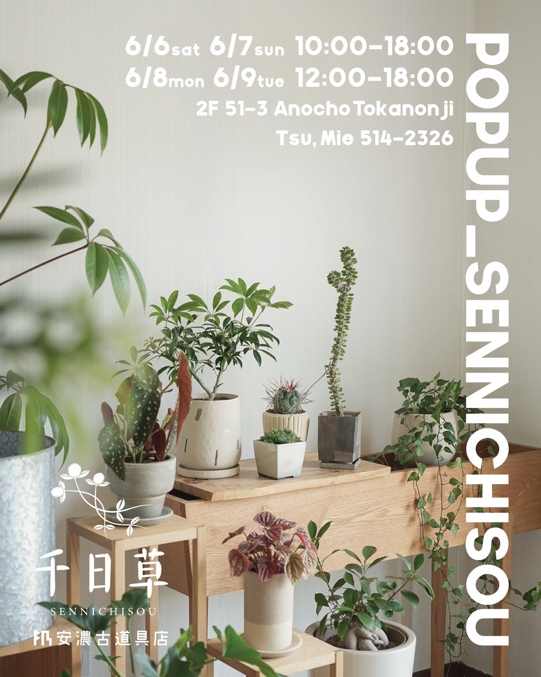 POPUPSENNICHISOU千日草安濃古道具店2026が開催、植物と古道具のコーディネートを提案