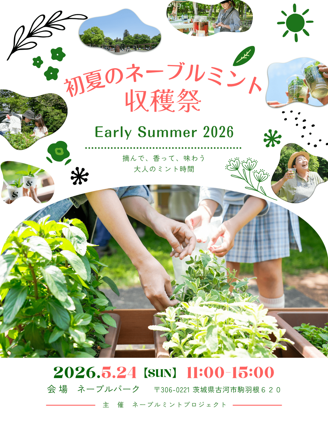 初夏のネーブルミント収穫祭2026がネーブルパークで開催、ミント収穫体験とデザート出店を実施
