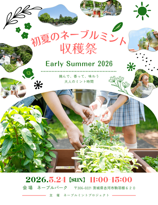 初夏のネーブルミント収穫祭2026がネーブルパークで開催、ミント収穫体験とデザート出店を実施