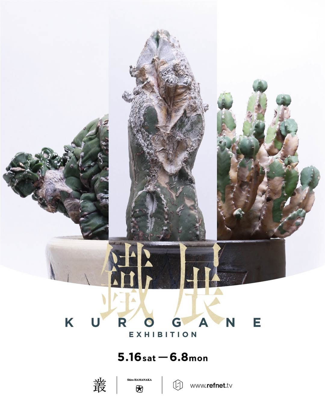 鐵くろがね展2026が広島refで開催、濱中史朗の鉢と叢の植物が展示販売に登場