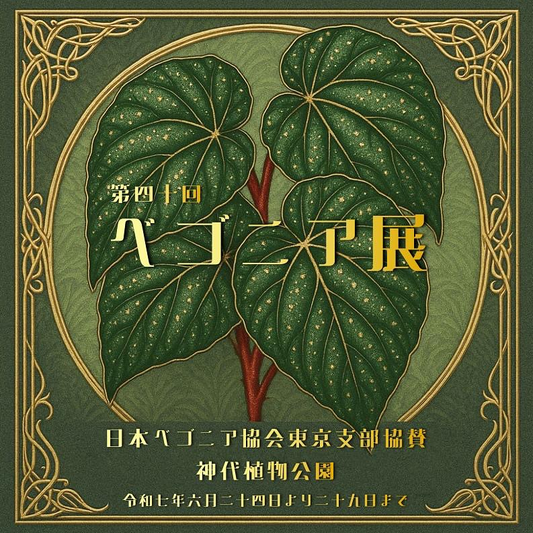 第41回神代ベゴニア展2026が神代植物公園で開催、原種ベゴニアと交配種の展示販売を実施