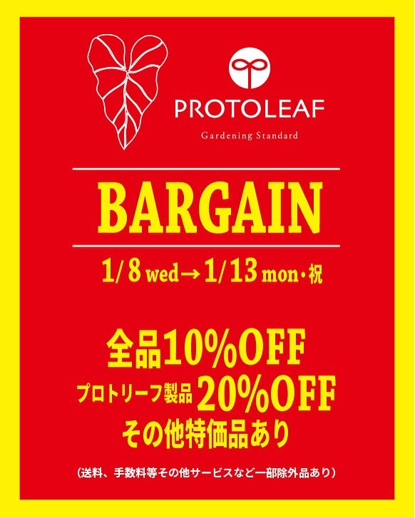 プロトリーフがゆめが丘ソラトス店で新春キャンペーンを開催、全品10%オフと自社商品20%オフの特別割引を実施