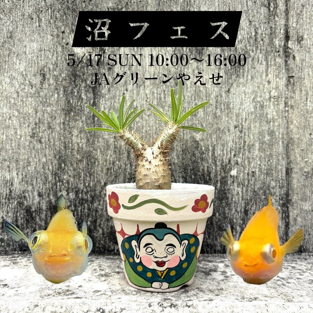 沼フェスめだかと植物マーケット2026がJAグリーンやえせで開催、めだかと珍奇植物と雑貨が集結