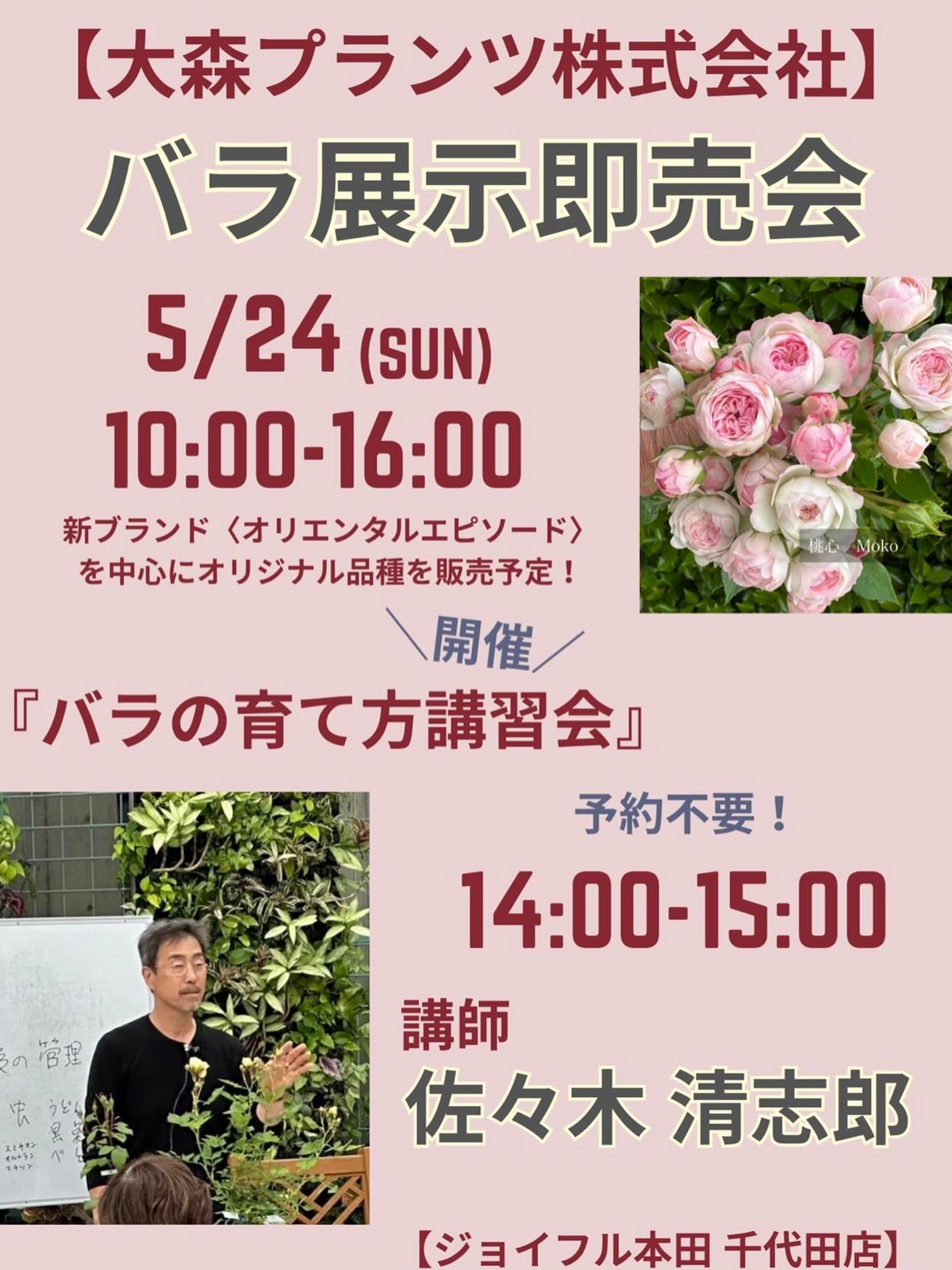 大森プランツ株式会社が2026年にバラ展示即売会を開催、オリエンタル