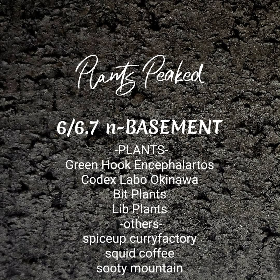PlantsPeakedが2026年にnBASEMENTで開催、パキプスやグラキリスの専門出展が集結