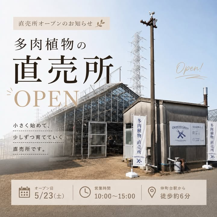 多肉植物の直売所が2026年に横浜市都筑区でオープン、セダムや交配種の販売が地域の植物愛好家に向けて開始