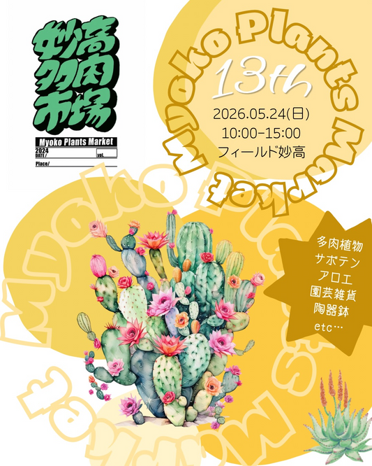 妙高多肉市場 vol.13が2026年に開催、フィールド妙高で多肉植物と寄植えWSを展開