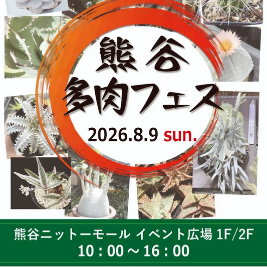 熊谷多肉フェスが2026年に開催、熊谷ニットーモールで多肉植物と塊根植物が集結