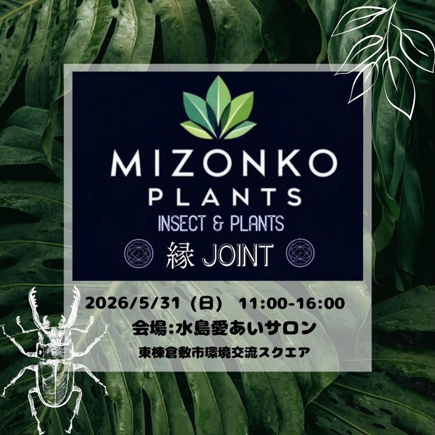 MIZONKO PLANTS INSECT & PLANTS 縁 JOINTが2026年に開催、ビカクシダWSと昆虫抽選会を実施