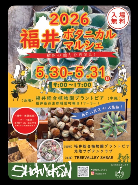 福井ボタニカルマルシェ2026がプラントピアで開催、植物と雑貨と食べ物が集まる大型野外イベント