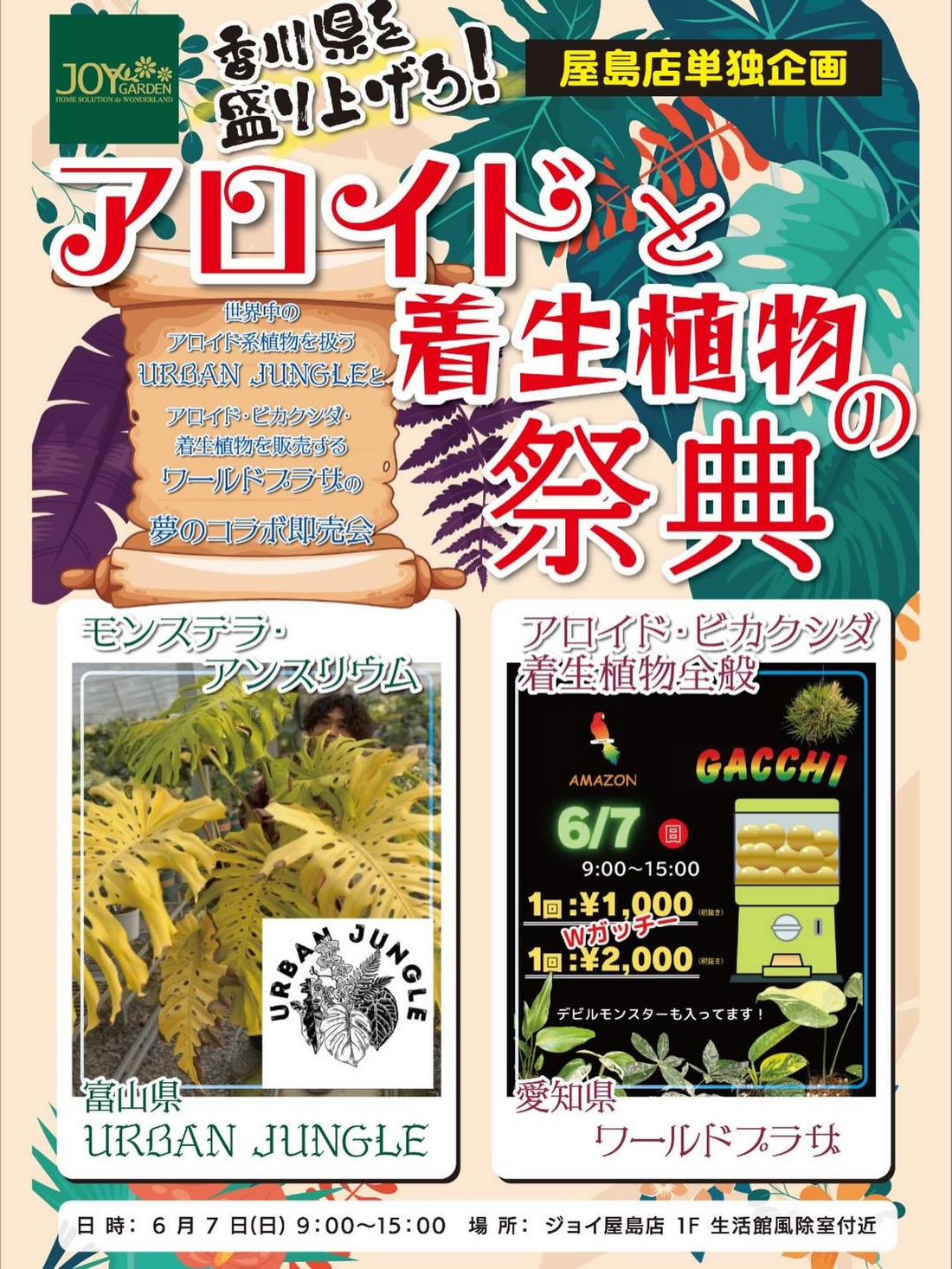 アロイドと着生植物の祭典が2026年に西村ジョイ屋島店で開催、URBAN JUNGLEとワールドプラザが出店