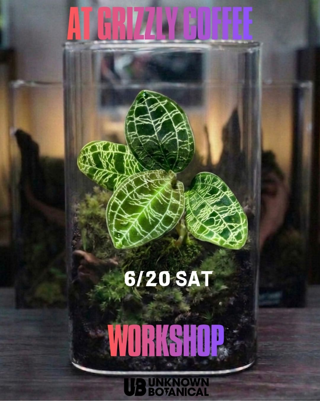 Terrarium Workshop at grizzlycoffeeが2026年に開催、雨林植物と苔で作るテラリウム体験