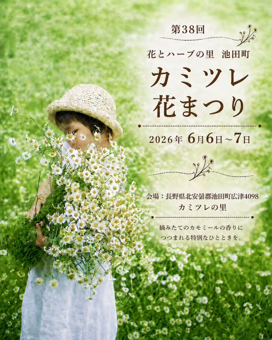 第38回いけだまちひろつカミツレ花まつりが2026年に開催、満開のカモミール畑と花摘み体験を実施