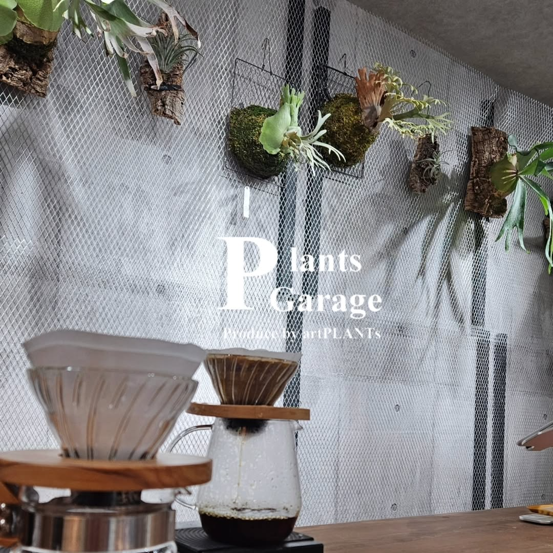 PLANTS GARAGEが2025年イベントスケジュールを発表、1周年記念セールとビカクシダの特別展示で植物愛好家の期待が高まる