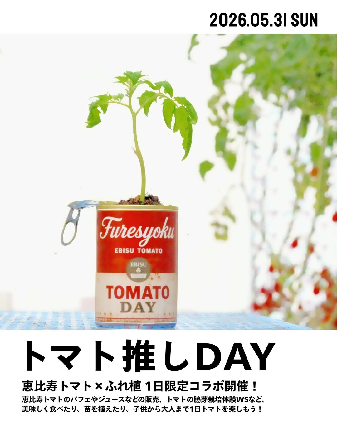 トマト推しDAYが2026年に渋谷区ふれあい植物センターで開催、恵比寿トマトの販売と栽培体験を実施 - リーフラ編集部