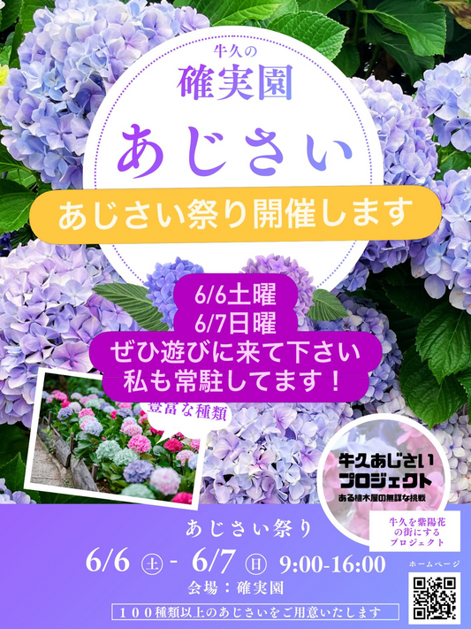 KAN−YO PlantsがKOGOSEIで販売会を実施、タイ直輸入ビカクシダの希少株を出品