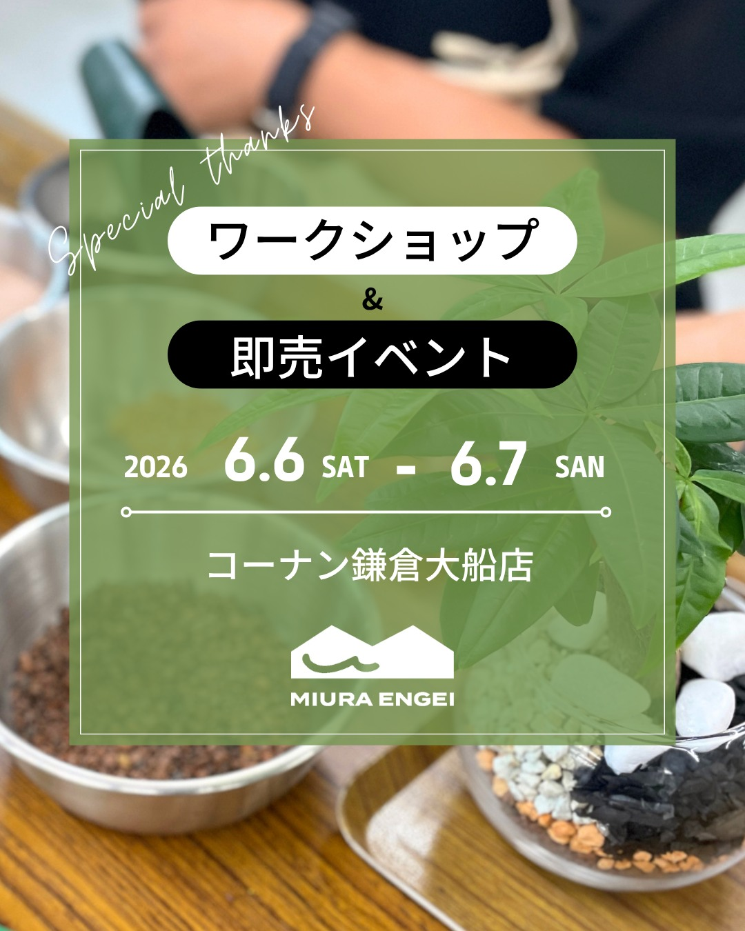 コーナン鎌倉大船店がワークショップ & 即売イベント2026を開催、特選観葉植物と植え込み体験が同時に楽しめる企画