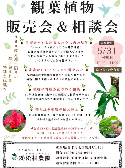 (有)松村農園が観葉植物販売会＆相談会2026を開催、ハウス見学と植え替え相談の機会に