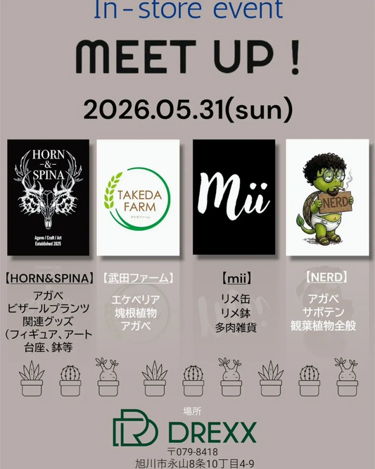In-store event MEET UP2026がDREXXで開催、アガベと塊根植物の販売が旭川に集結