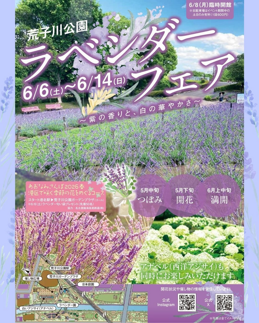 荒子川公園ラベンダーフェア2026が開催、ラベンダー展示と体験企画が名古屋港区に集結