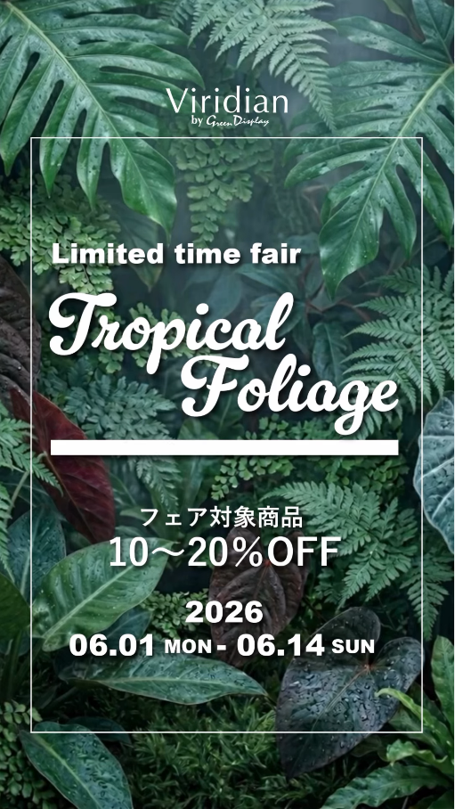 LimitedtimefairTropicalFoliage2026がViridianで開催、熱帯植物対象商品を割引販売