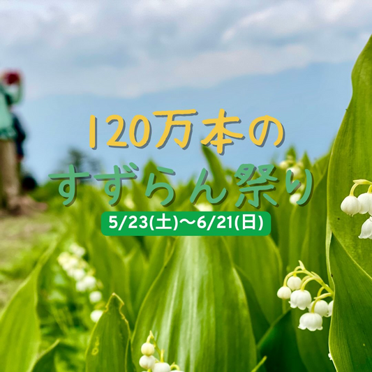 120万本のすずらん祭り2026が富士見パノラマリゾートで開催、標高1780mの花景色が見頃へ